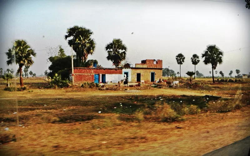 Farmland beside a highway in Bihar