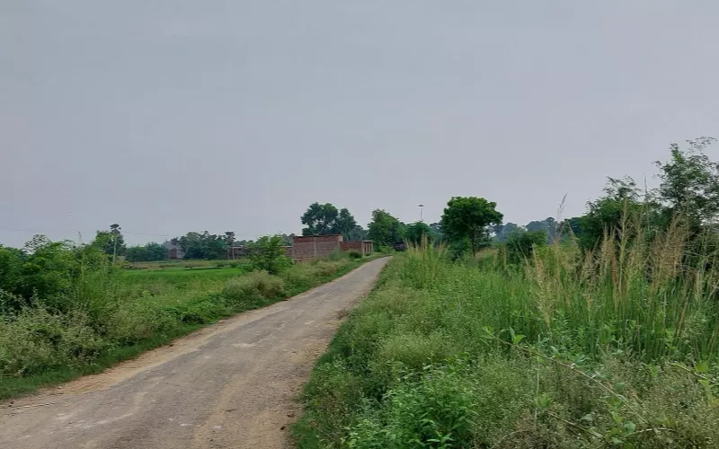 Road beside open land near Masaurhi, Patna