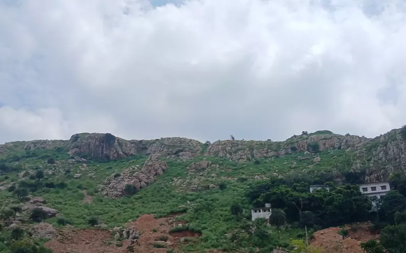 गया ज़िले (बिहार) के गाँव के खेत